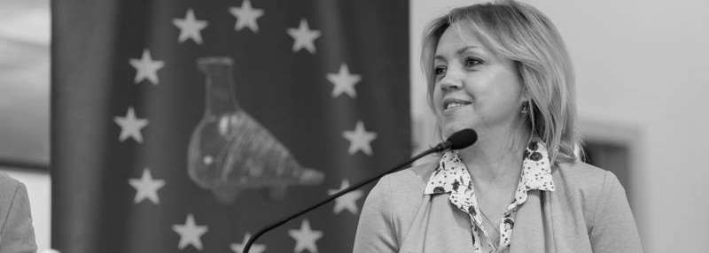 novopristigli-migranti-i-nacionalne-manjine