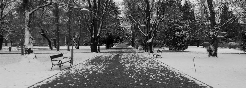 predstavljamo-blog-evs-volonterke