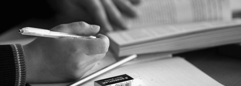 volonteri-pomazu-u-ucenju