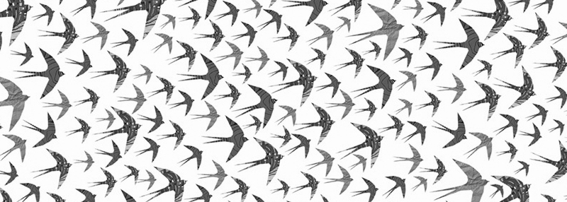 hrvatska-volontira-2015-produzen-rok-za-prijavu-aktivnosti