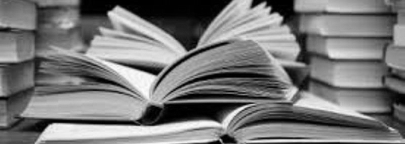 izvjesa-organizatora-volontiranja