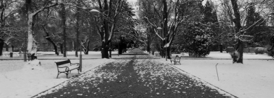 predstavljamo-blog-evs-volonterke