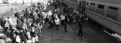 nastavljamo-volontirati-i-u-slavonskom-brodu