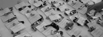 meunarodna-cev-konferencija