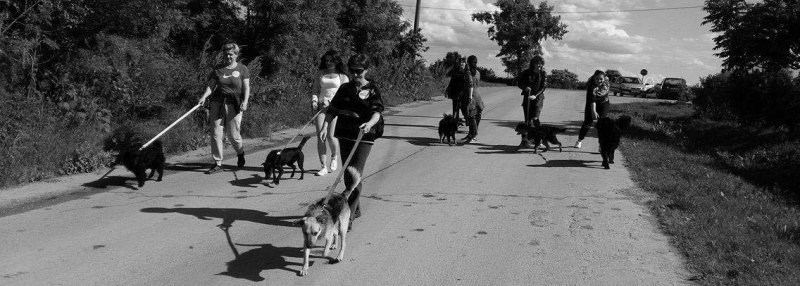 hrvatska-i-dalje-volontira